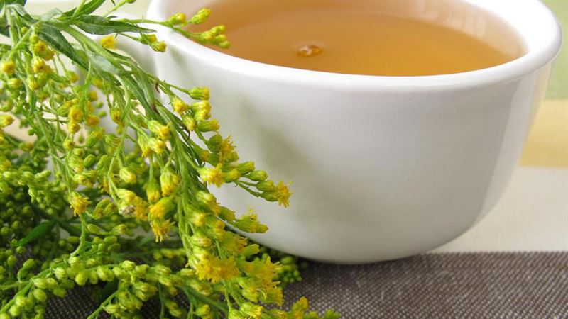 Comprehensive Strategies for Managing and Healing Bladder Infections Naturally