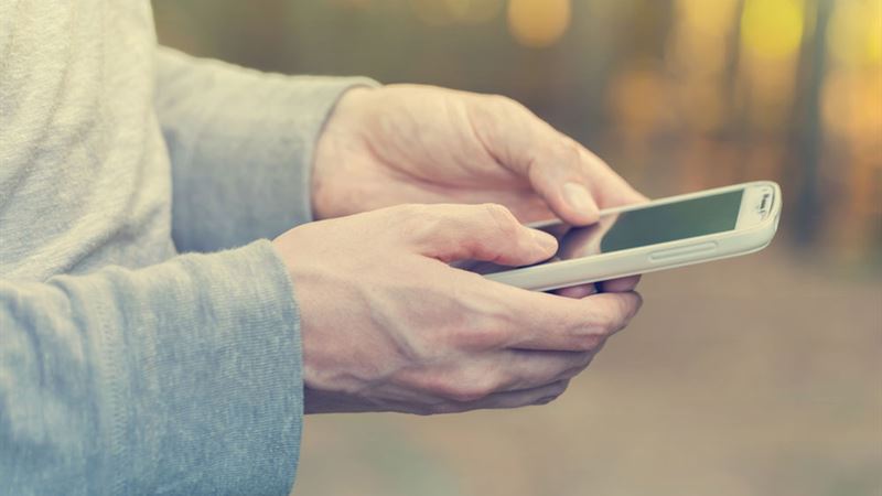 Comprehensive Guide to Leading Online Resources for Toll-Free Phone Numbers