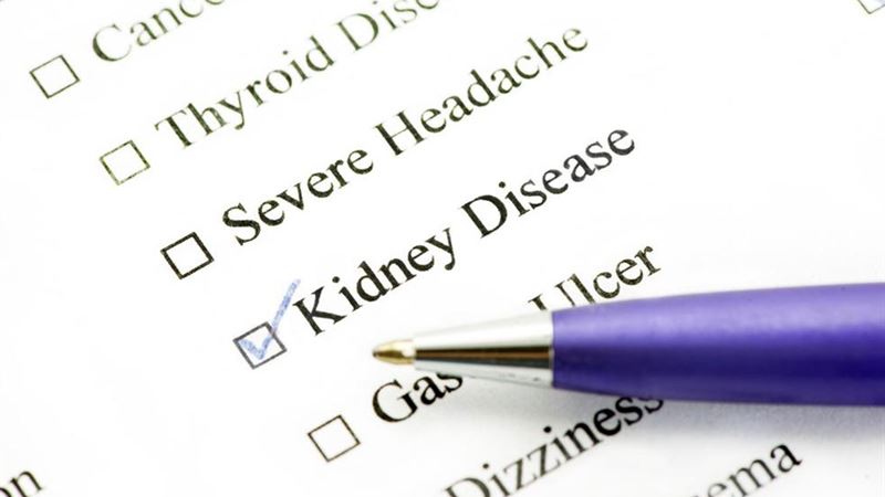 Understanding the Causes and Risk Factors of Kidney Infections