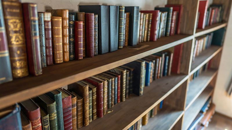 Comprehensive Guide to Library Science: Education Paths, Costs, and Career Prospects