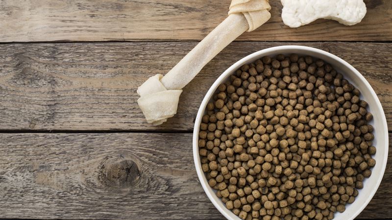 Selecting the Ideal Food for Dogs with Sensitive Digestion: A Complete Guide