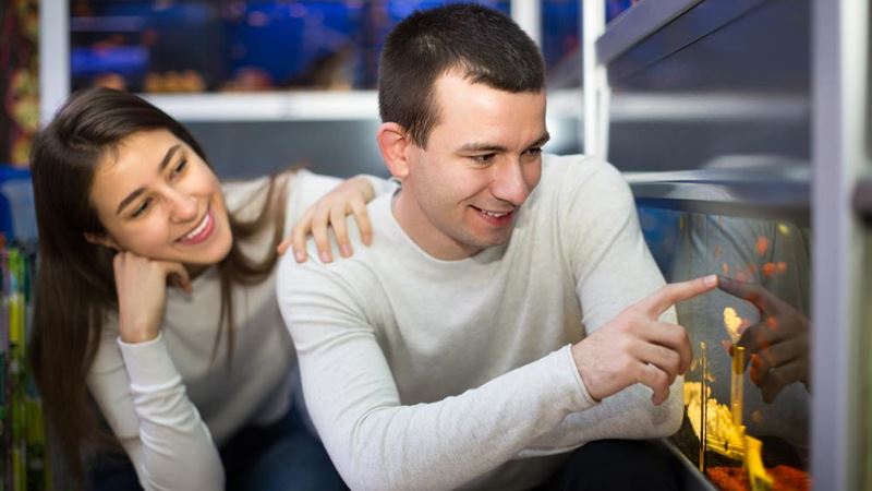 Comprehensive Guide to Creating a Perfect Aquarium at Home