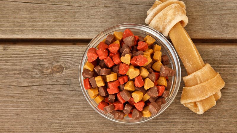 Choosing the Ideal Nutrition for Your Canine Companion: A Comprehensive Guide