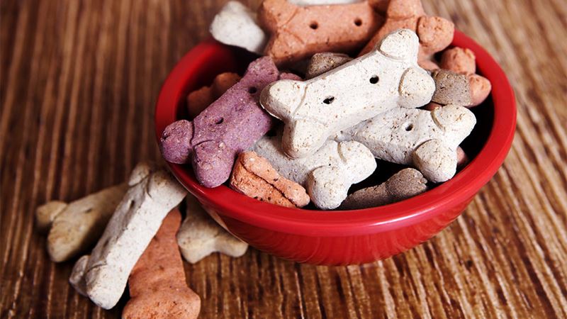 Top 5 Premium Dry Dog Food Brands for Optimal Pet Nutrition