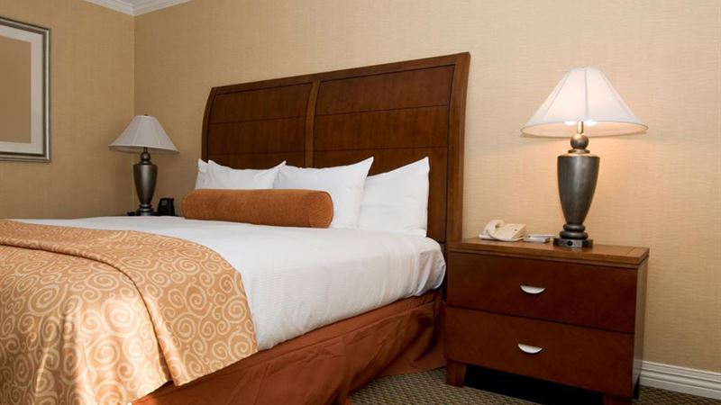 Ultimate Guide to Top-Rated Air Mattresses for Comfortable Rest and Medical Use