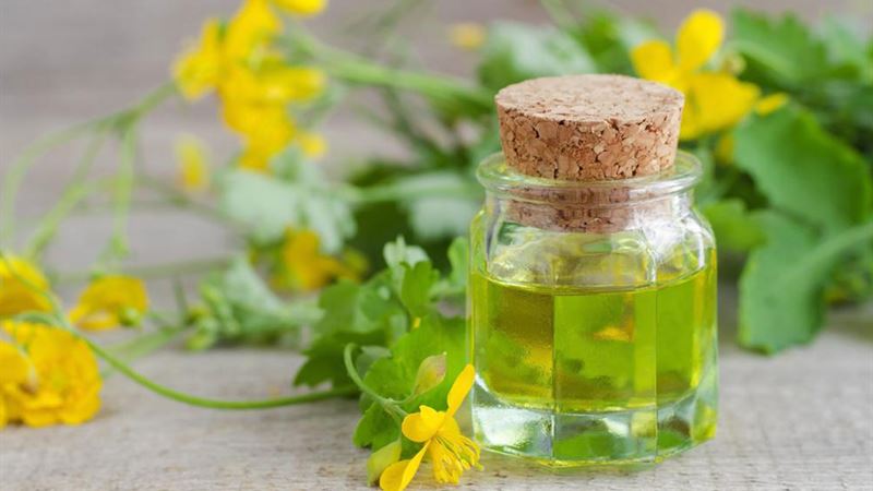 Comprehensive Home-Based Strategies to Relieve Hemorrhoids Effectively