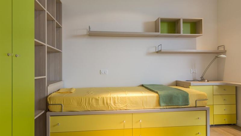 Comprehensive Guide to Choosing the Perfect Trundle Bed for Your Space