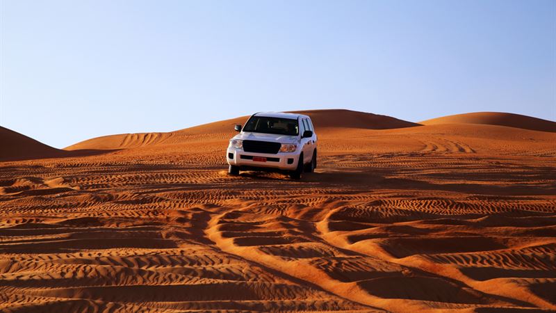 Comprehensive Overview of the Toyota RAV4: Features, Performance, and Market Position