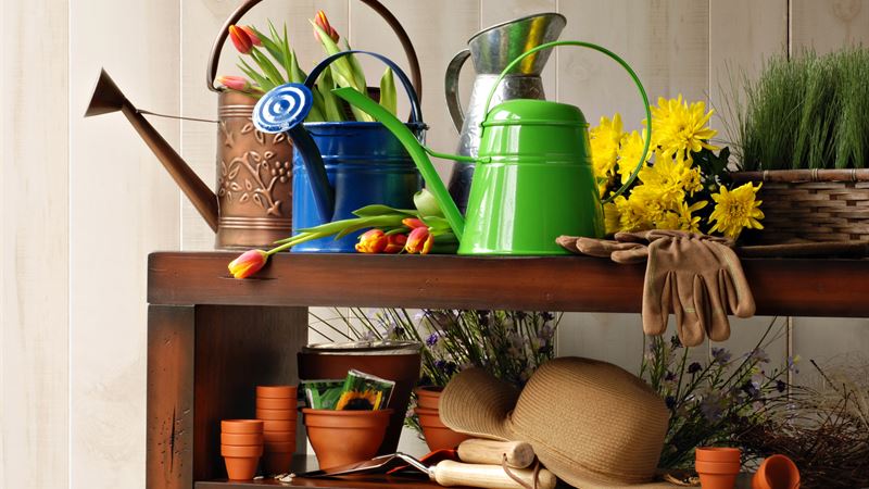 Comprehensive Guide to Selecting the Perfect Gardening Supplies for Your Garden