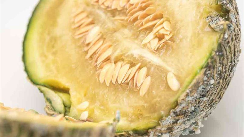 Comprehensive Guide to Effective and Natural Treatments for Yeast Infections