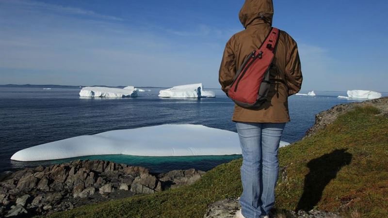 Discover the Legacy and Style of Vera Bradley Accessories and Home Goods