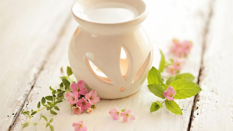 Unique Scentsy Warmers: Stylish Decor Pieces with Playful Designs