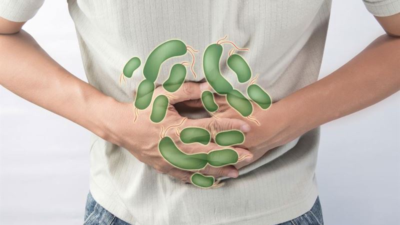 Comprehensive Insights into Helicobacter pylori Infection: Causes, Risk Factors, and Potential Health Complications