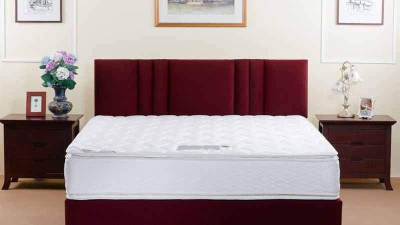 Comprehensive Guide to Popular Adjustable Bed Options in Today's Market