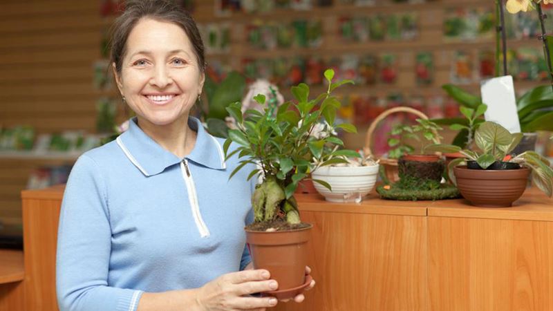 Understanding the Limitations of Planting Zone Maps for Garden Success