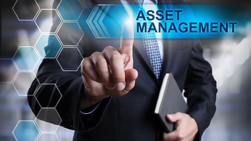 Comprehensive Guide to Effective Asset Management Strategies