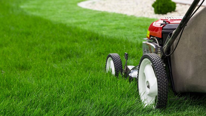 Effortless Access to Quality Lawn Mower Components for Maintenance and Repairs