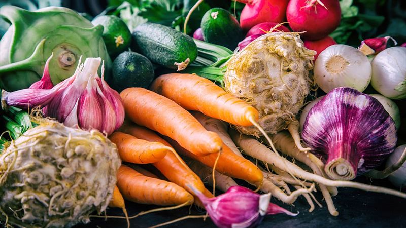 Understanding Lupus: Recognizing Early Symptoms and Adopting an Anti-Inflammatory Diet