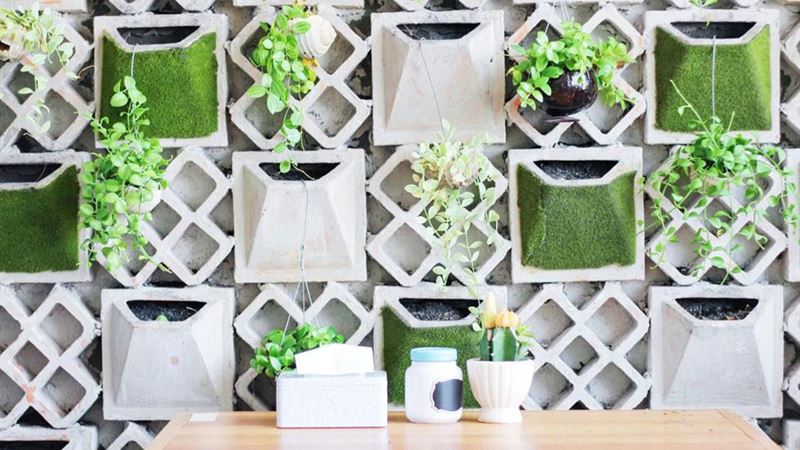 Transform Your Interior Spaces with the Beauty of Indoor Plants