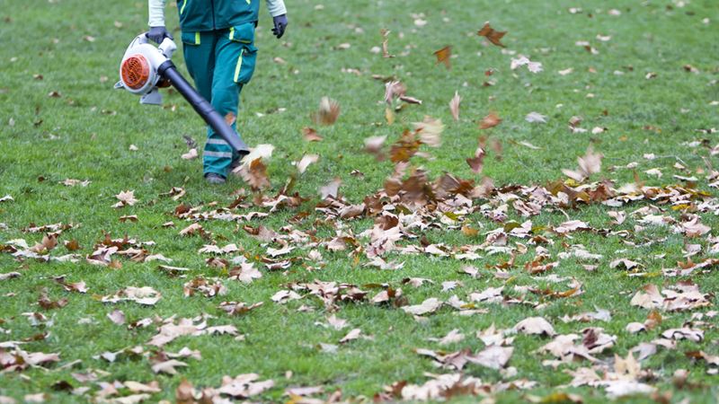 Comprehensive Guide to Selecting the Ideal Gas-Powered Leaf Blower for Your Yard