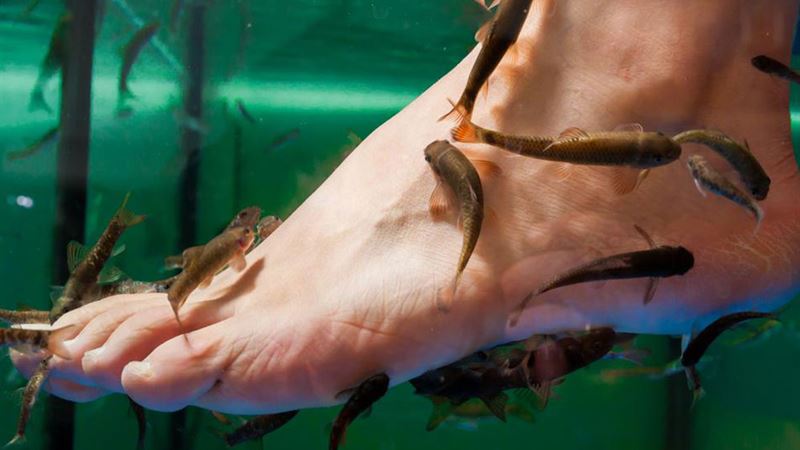 Comprehensive Guide to Psoriasis: Types, Causes, and Effective Management Strategies