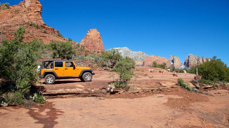 Jeep Wrangler: The Ultimate Adventure SUV with Unmatched Power and Durability