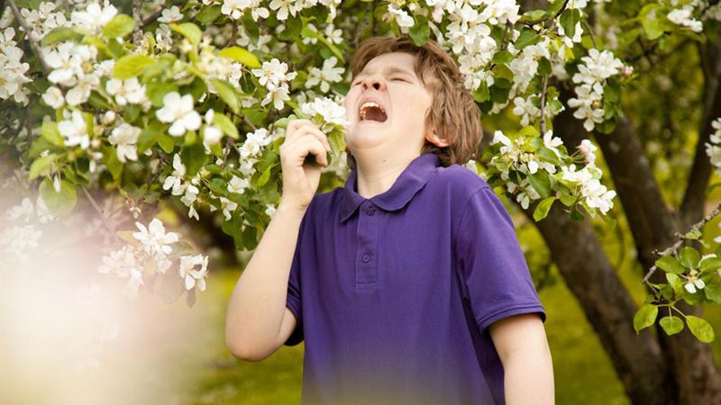 Comprehensive Guide to Effective Treatments for Seasonal Allergies