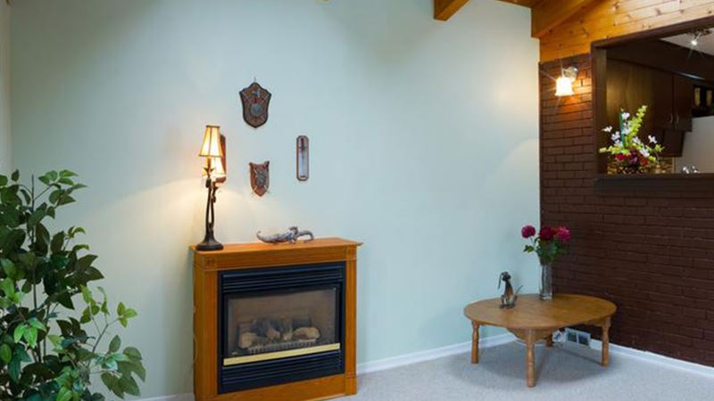 Inspiring Nature-Inspired Interior Design Ideas for a Fresh Living Space