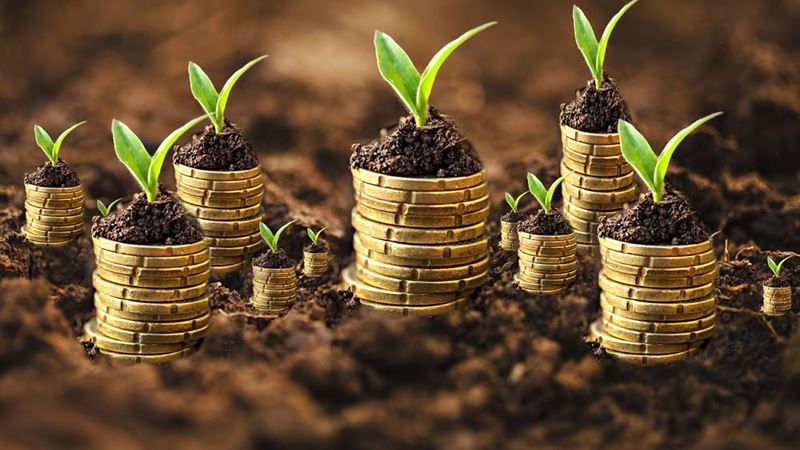 Effective Strategies to Maximize Investment Growth and Double Your Savings