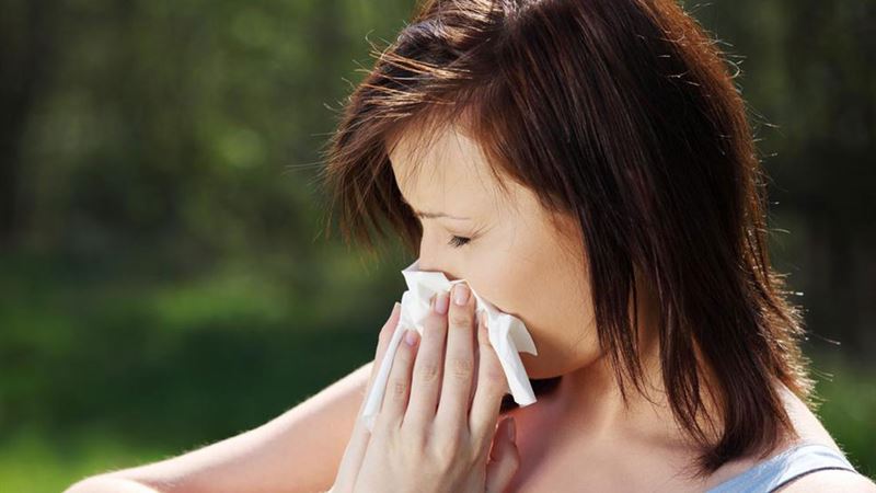Comprehensive Guide to Mold Allergies: Causes, Symptoms, and Effective Treatments