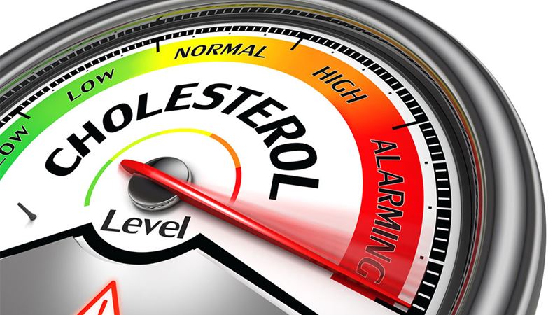 Understanding Cholesterol: Myths, Facts, and Health Implications