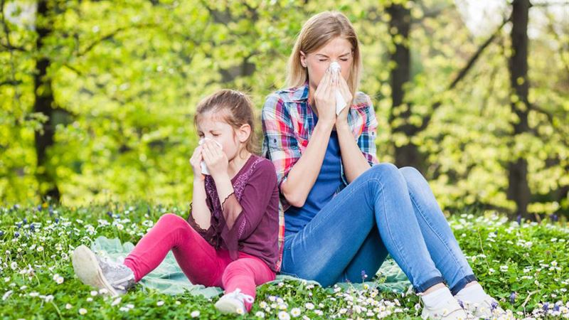 Effective Strategies to Avoid and Manage Pollen Allergies During Peak Seasons