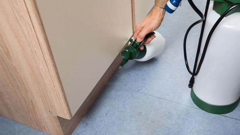 Comprehensive Strategies for Effective Rodent Prevention and Control