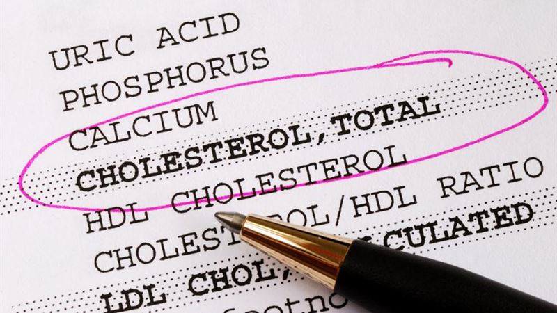 Comprehensive Guide to Understanding and Managing Cholesterol Levels