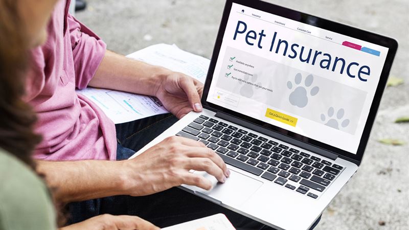 Comprehensive Guide to Pet Insurance: Protecting Your Furry Friends and Your Wallet