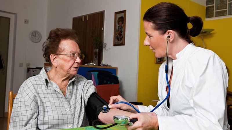  Comprehensive Guide to the Vital Role of Family Nurses in Modern Healthcare 