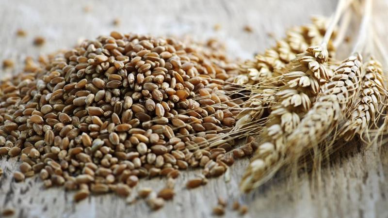 Unlock the Health Benefits of Incorporating Wheat Berries into Your Daily Nutrition