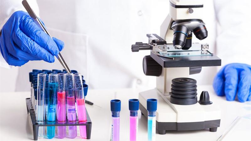 Understanding the Significance of Stool Colors: A Comprehensive Guide