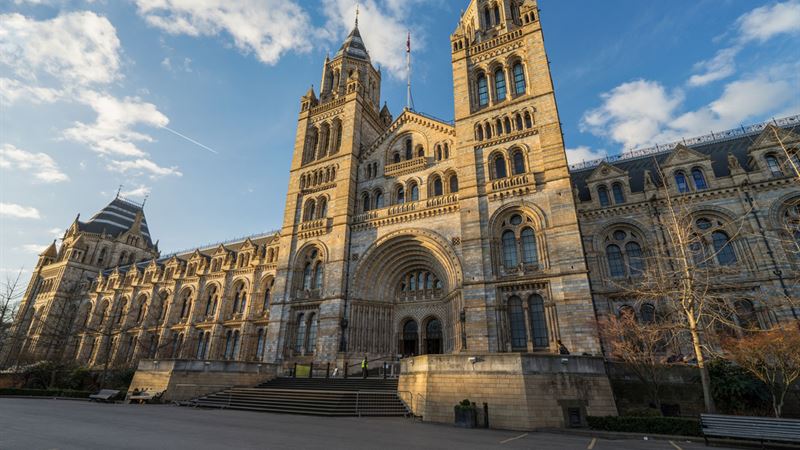 Comprehensive Review of the MG HS: Features, Variants, and Safety Innovations