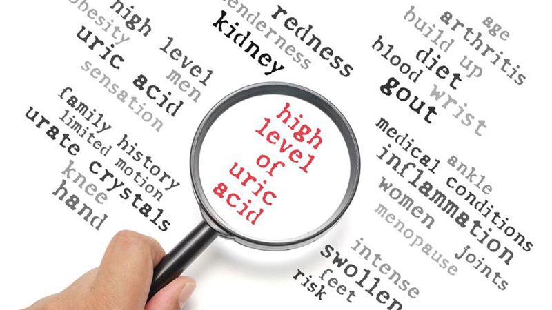 Comprehensive Guide to Managing and Preventing High Uric Acid Levels