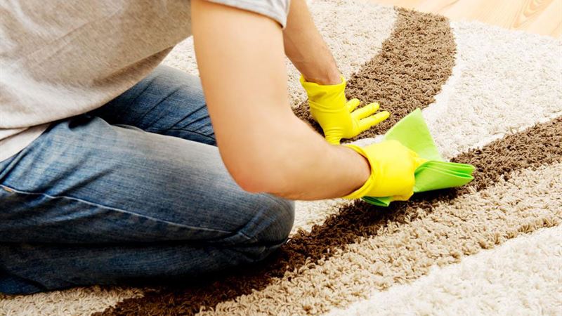 Effective Methods to Eliminate Carpet Stains and Odors Safely and Naturally