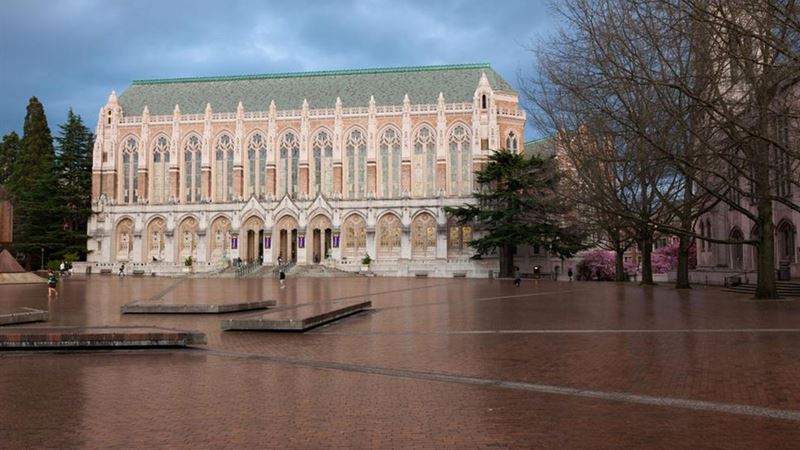 Top Three Universities for Pursuing a Master’s Degree in Early Childhood Education