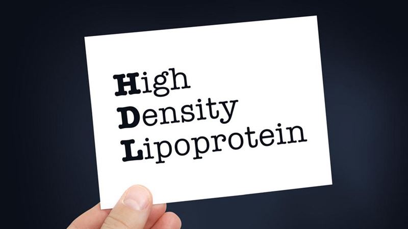 Effective Strategies to Elevate Your HDL Cholesterol for Heart Health