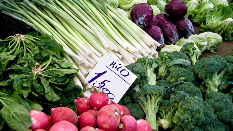 Effective Natural Remedies and Dietary Tips to Reduce Excessive Mucus Production