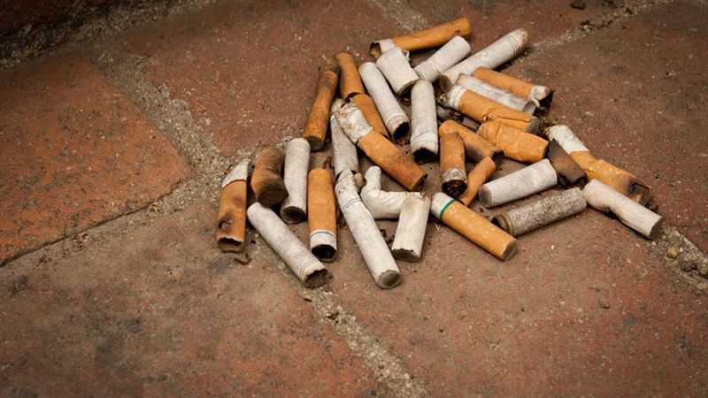 Understanding the Impact of Secondhand Tobacco Smoke on Health and Environment