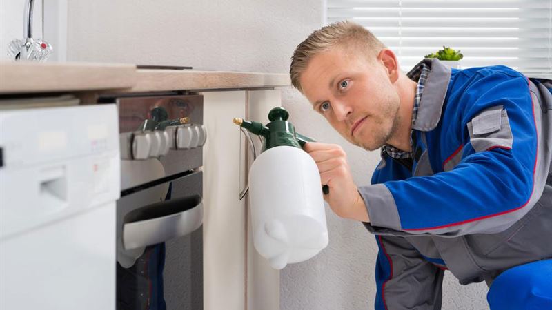 Effective Strategies to Eliminate Dust Mites from Your Home for Better Health