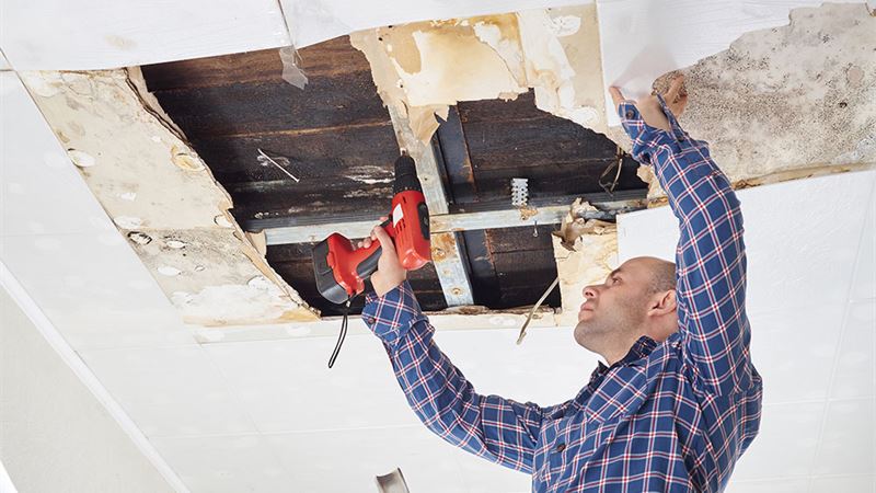 Comprehensive Guide to Choosing Expert Water Damage Repair Services