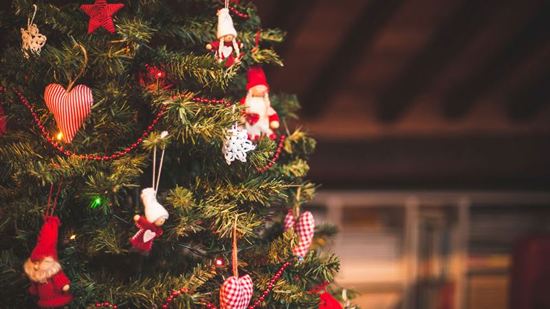 Ultimate Black Friday Deals on Christmas Trees You Can't Miss