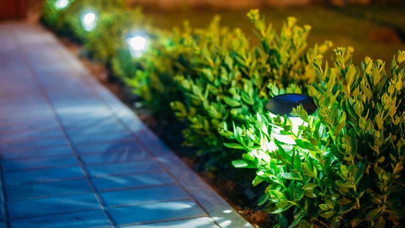 Creative Garden Lighting Ideas to Transform Your Outdoor Space