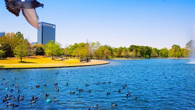 Exploring Texas Waters: A Comprehensive Guide to Spring and Summer Fishing Opportunities